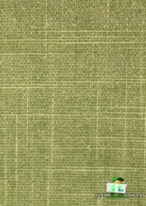 SHANTUNG011