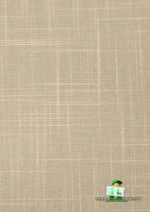 SHANTUNG014