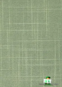 SHANTUNG010